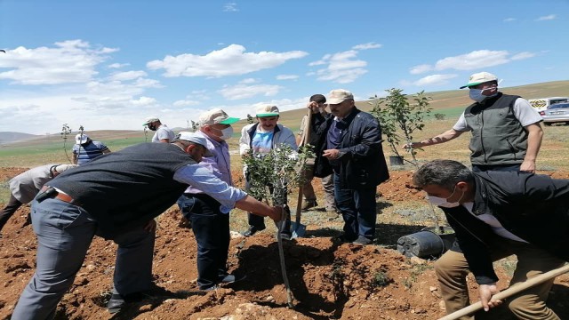 Bayburtta “Her Köye Bir Orman Projesi” kapsamında fidanlar toprakla buluşturuldu