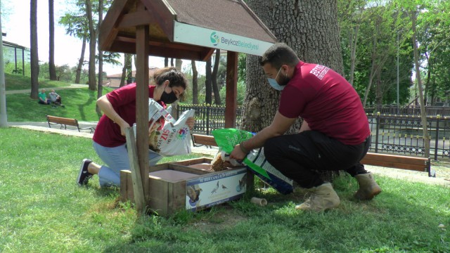 Beykozda tam kapanma döneminde sokak hayvanları unutulmadı