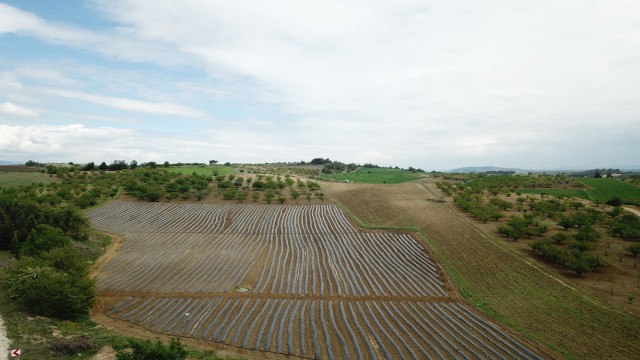 Bilecikde sulama sezonu başladı