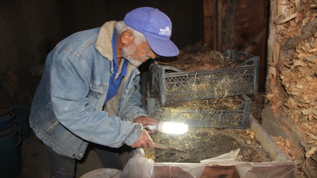 Bin taneden 100 milyon üretti, gübresini ücretsiz dağıtıyor