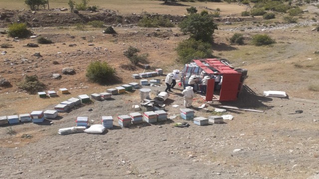 Bingölde arı yüklü kamyon devrildi