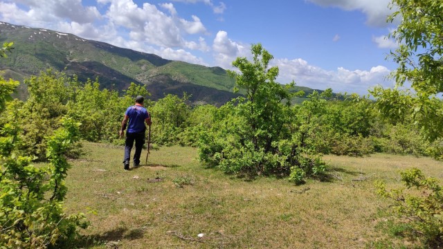 Bingölde kayıp yaşlı adamı, arama çalışmaları 1 aydır sürüyor