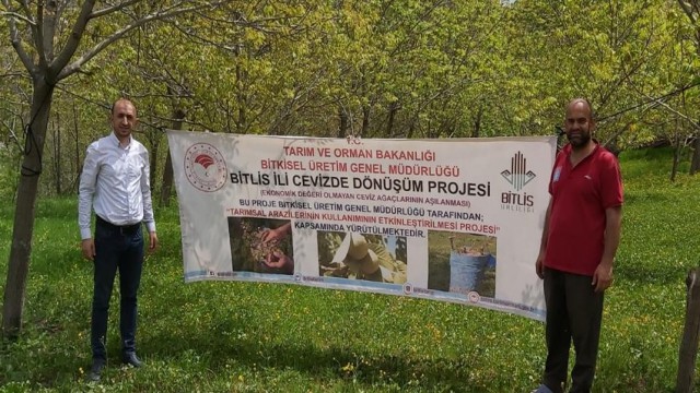 Bitliste ‘Cevizde Dönüşüm projesi başlatıldı