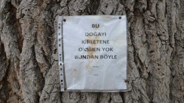 Bu ağaç doğayı kirletenlere oksijen vermiyor