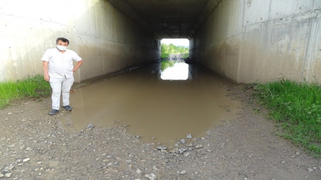 Bu da köprü altı havuzu