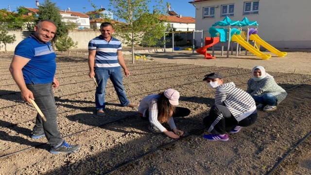 Bu da yerli tohum üretim okulu