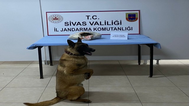 Buda yolcu beraberinde uyuşturucu