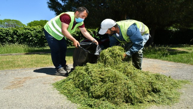 Budanan dal ve bitkiler gübreye dönüştürülerek yeniden kullanıyor