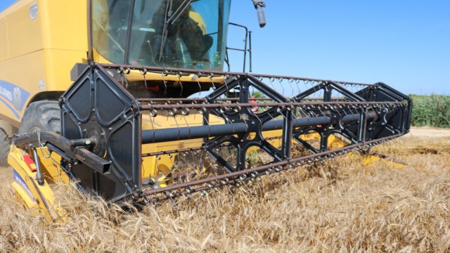 Buğday tarlası olan çiftçi, sünelere karşı uyarıldı