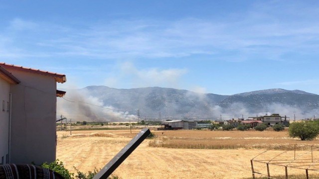 Buğday tarlasında çıkan yangın 30 dönümden fazla ekili alanı küle çevirdi