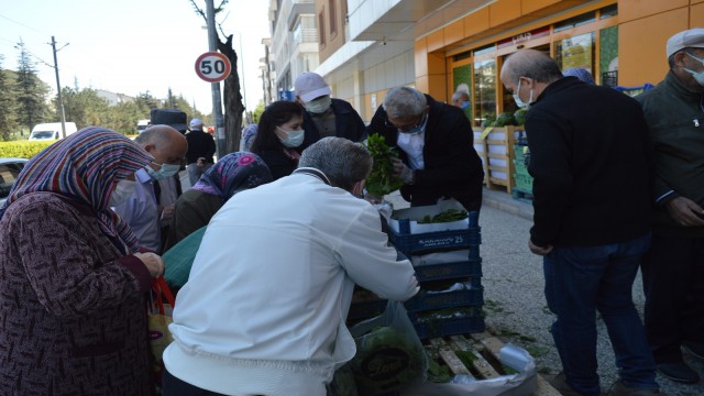 Bulaş riskine rağmen ucuz asma yaprağına hücum