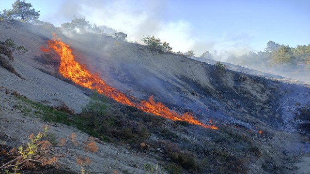 Burdurda orman yangını