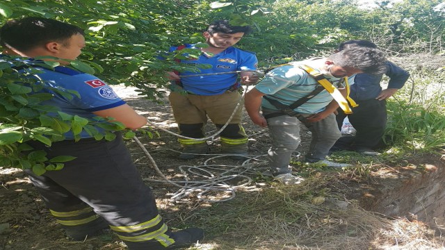Bursada kuyuya düşen çakalı ekipler kurtardı
