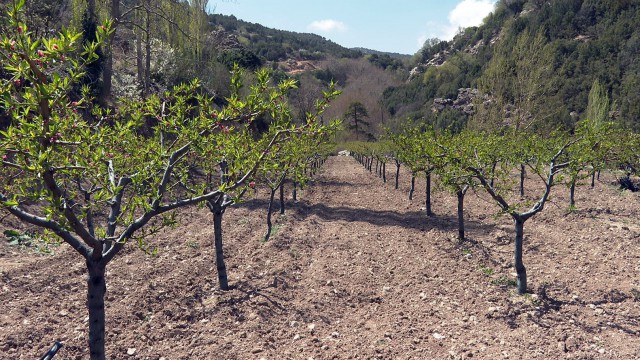 Büyükşehir Korkuteli Süleklere kapalı devre sulama sistemi kuruyor