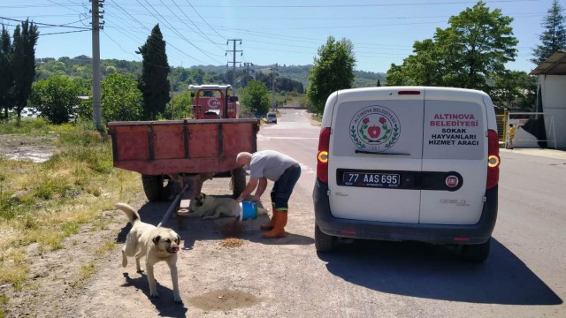 “Can dostlarımız emin ellerde”