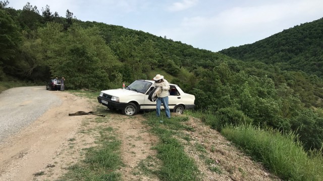 Çanakkalede takla atan otomobildeki arılar yola saçıldı