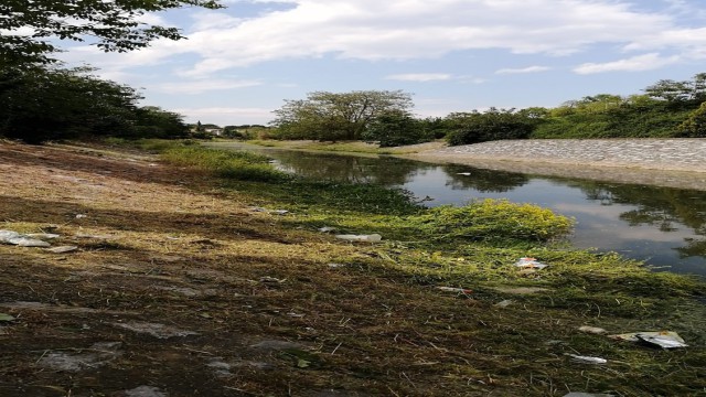 Çark Deresinin çevresi temizleniyor