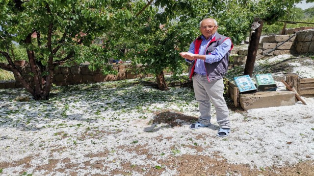 Çevrilde yağan dolu ortalığı beyaza bürüdü