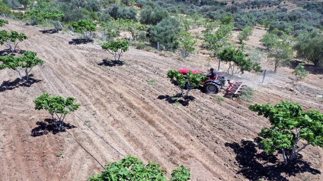 Çiftçiler gününü tarlada çalışarak geçirdiler