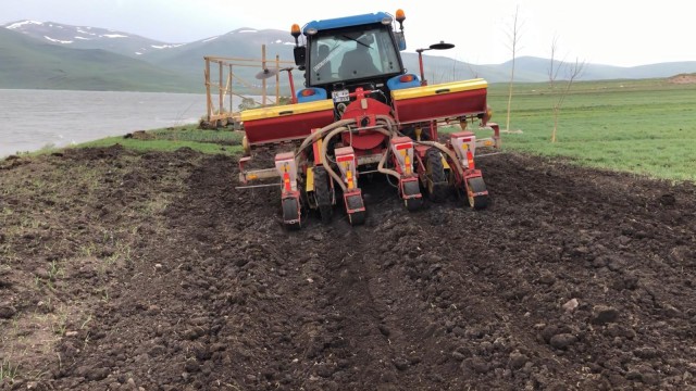 Çıldır 20 çiftçi ile 200 dönüm sılajı ekimi projesi