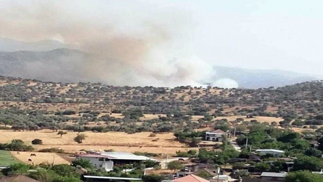 Çinede arazi yangını