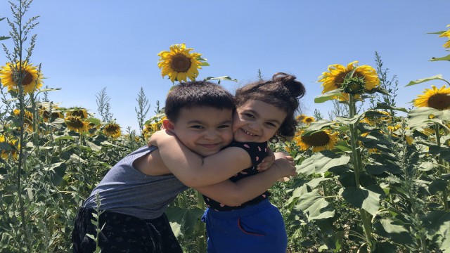 Çukurovada sarı gelin görsel şölen sunuyor