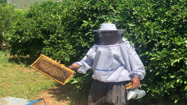 Çukurovalı arıcıların yaylalara yolculuğu başlıyor