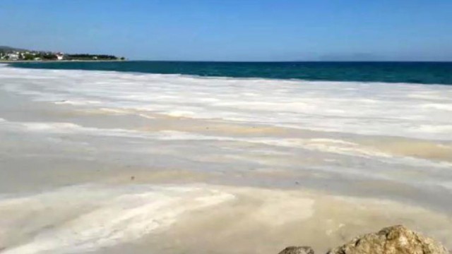 Deniz salyaları mavi bayraklı sahili beyaza çevirdi