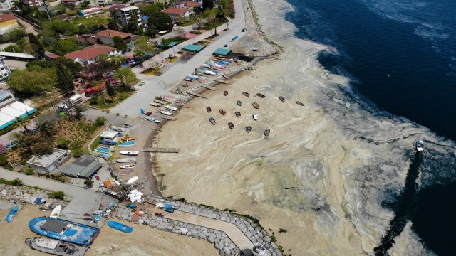 Deniz salyası bu kez Körfezi tamamen kapladı