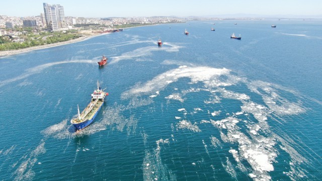 Deniz salyası ve balık ölümlerinin nedeni su sıcaklığının artması