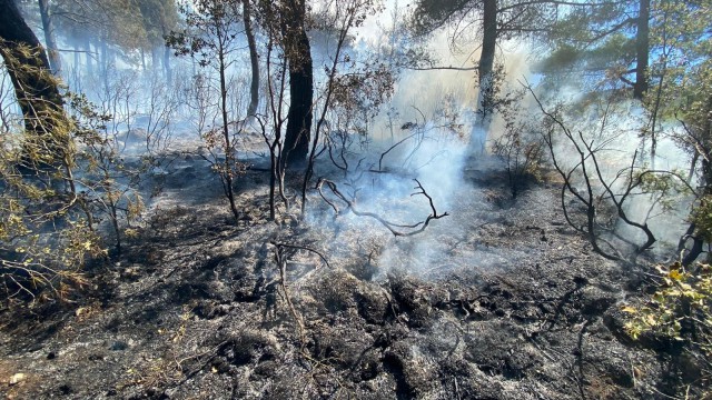Denizlideki orman yangınıyla ilgili 2 kişi gözaltına alındı