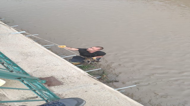 Dere yatağında mahsur kalan yavru kediyi itfaiye kurtardı