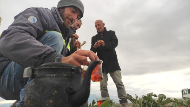 Develili çoban 450 büyükbaş hayvanı Sultan Sazlığında otlatıyor