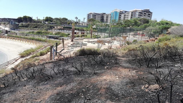 Didimde makilik yangını büyümeden söndürüldü
