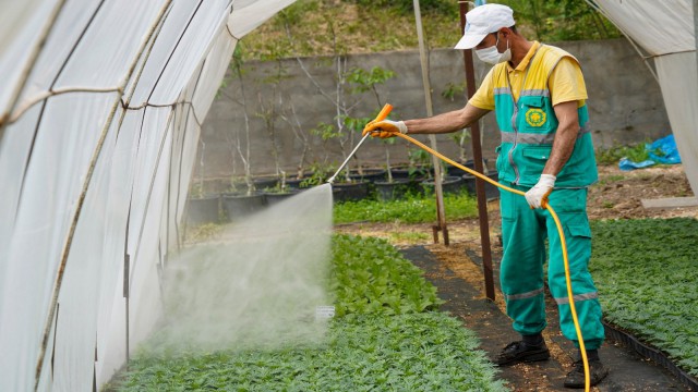 Diyarbakır Büyükşehir Belediyesinden en güzel üretim