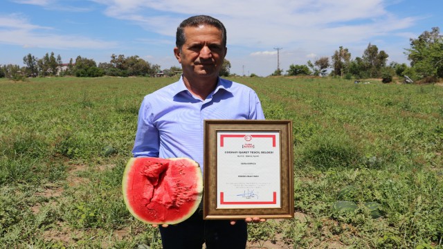 Doğan: Ham karpuz milli ekonomiye zarar