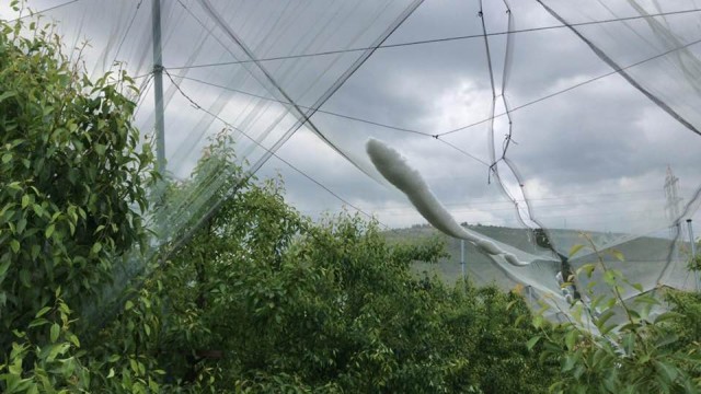 Dolular fileden döndü