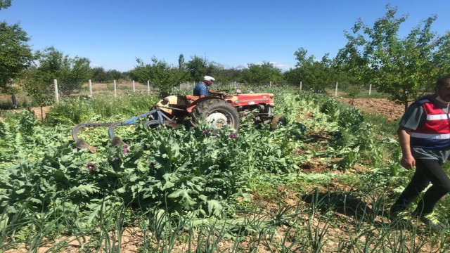 Drone ile tespit edildi, sökülerek imha edildi