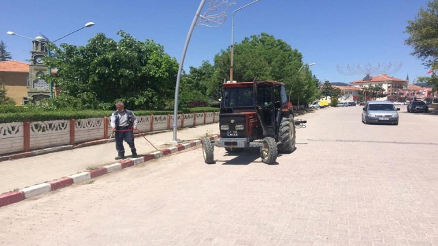 Dumlupınarda ilaçlama ve yabani ot temizleme çalışmaları