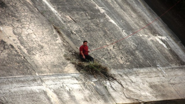 Duvar kenarındaki otlar sayesinde hayata tutundu