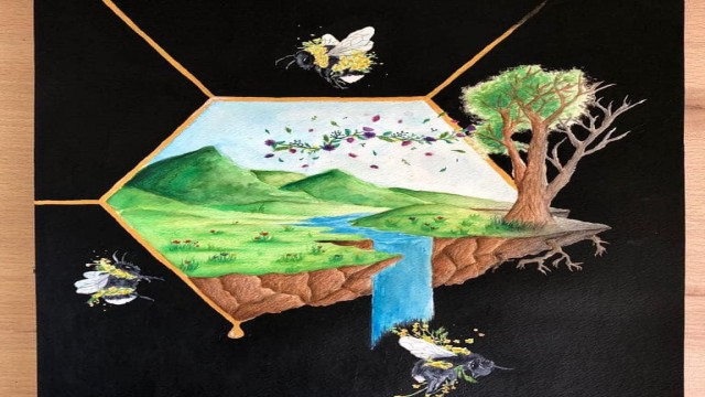 Düzce BİLSEMden Türkiye birinciliği