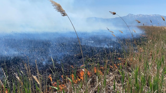 Eber Gölünde yangın