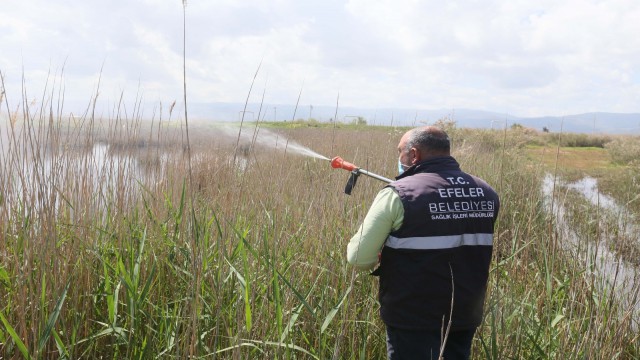 Efelerde ilaçlama çalışmaları devam ediyor