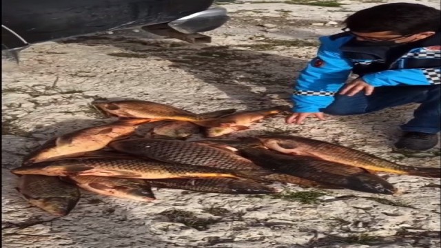 Eğirdir Gölünde av yasağına rağmen katliam