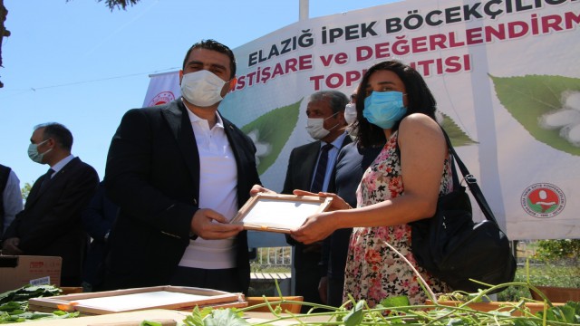 Elazığda ipek böcekçiliği yeniden canlanıyor