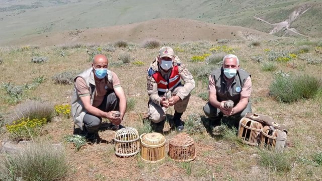 Elazığda kaçak avda yakalanan 3 şahsa işlem yapıldı