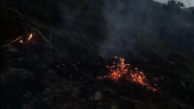 Elazığda yıldırım yangına neden oldu