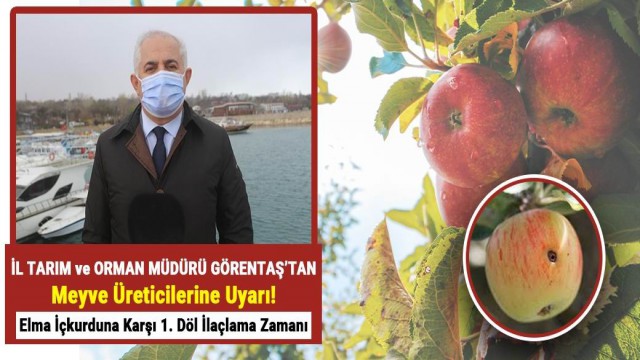 Elma iç kurduna karşı ilaçlama uyarısı