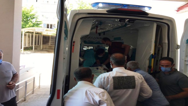 Engerek yılanın ısırdığı şahıs yoğun bakımda