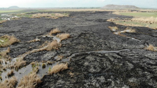 Erzincanda kuş cennetinde gece çıkan yangın tamamen söndü